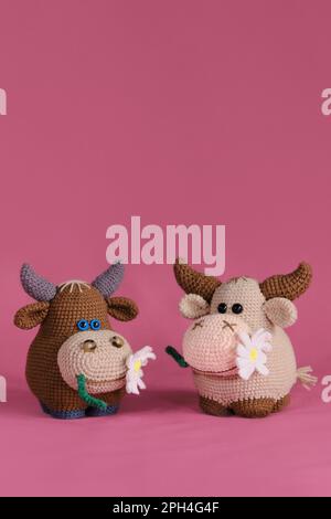 Amigurumi-Kuhpuppen auf pinkfarbenem Hintergrund. Ein weiches Heimwerkerspielzeug aus Baumwolle und Naturwolle. Zwei braune Bullen mit einer Gänseblümchen im Mund, gestrickt Stockfoto