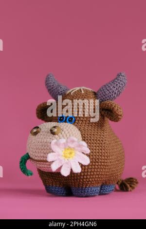 Amigurumi-Kuhpuppe auf pinkfarbenem Hintergrund. Ein weiches Heimwerkerspielzeug aus Baumwolle und Naturwolle. Ein brauner Stier mit einer Gänseblümchen im Mund, gehäkert, handgemacht Stockfoto