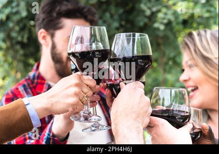 Erheben Sie ein Glas auf gute Freunde und großartigen Wein bei dieser lebhaften BBQ-Feier Stockfoto