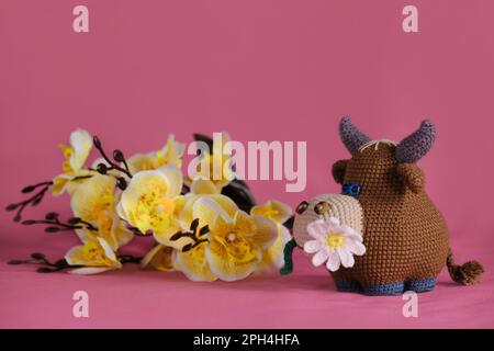 Amigurumi-Kuhpuppe auf pinkfarbenem Hintergrund neben gelben Orchideenblumen. Ein weiches Heimwerkerspielzeug aus Baumwolle. Ein brauner Stier mit Gänseblümchen im Mund, gestrickt, Hand Stockfoto