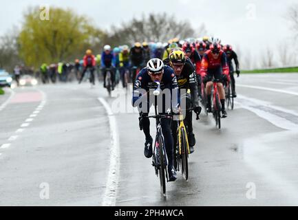 Wevelgem, Belgien. 26. März 2023. Das Reiterpaket, das während des Männer-Radrennen Gent-Wevelgem - in Flanders Fields, 260, 9 km von Ieper nach Wevelgem, Sonntag, den 26. März 2023, in Aktion gezeigt wurde. BELGA PHOTO DIRK WAEM Credit: Belga News Agency/Alamy Live News Stockfoto