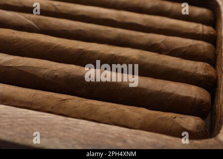Nahaufnahme vieler Zigarren als Hintergrund Stockfoto