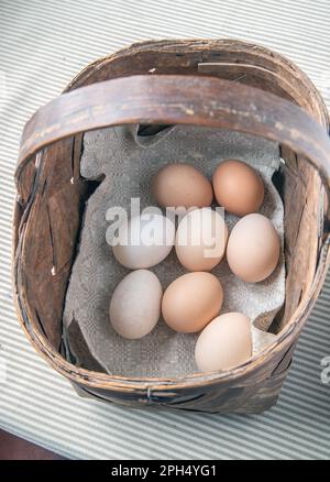 Legen Sie nicht alle Eier in einen Korb. Beliebte Sprichwörter und Sprichwörter Stockfoto