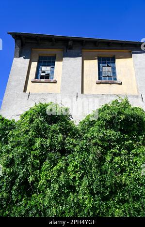 Fassade eines alten Hauses mit Metallgitterfenstern und zerbrochenen Glasscheiben in einem alten leerstehenden Gebäude Stockfoto