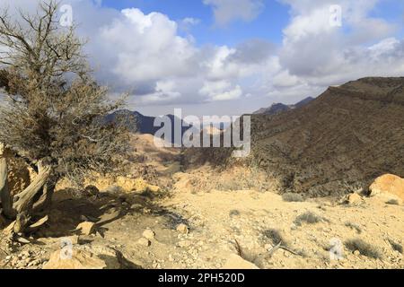 Blick über die Landschaft der Sahwah Wadi bis zu den Bergen von Jabal Abu Mahmoud, Südjordanien, Mittlerer Osten Stockfoto