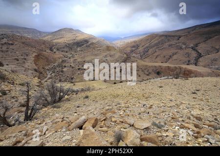 Das trockene Flusstal von Wadi Feid, Jabal fied, Al-Sharat-Gebiet Jordanien, Naher Osten Stockfoto