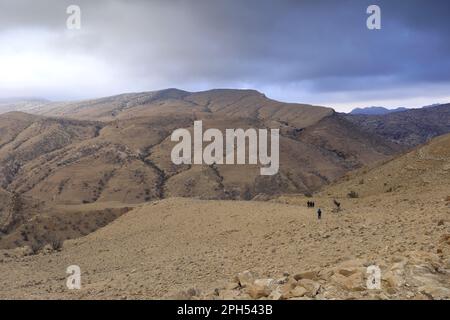 Walkers auf dem Jordan Trail in Wadi Feid, Jabal Ffied, Al-Sharat in Jordanien, Naher Osten Stockfoto