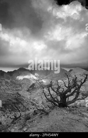 Blick über die Landschaft der Berge von Jabal Abu Mahmoud, Südjordanien, Naher Osten Stockfoto