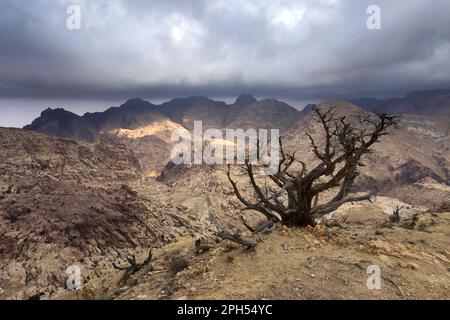 Blick über die Landschaft der Berge von Jabal Abu Mahmoud, Südjordanien, Naher Osten Stockfoto