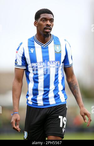 Sheffield Wednesday's Tyreeq Bakinson während des Spiels Sky Bet League One im Bolt New Lawn, Nailsworth. Foto: Sonntag, 26. März 2023. Stockfoto