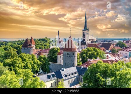 Tallinn in Estland, Blick auf die mittelalterliche Stadt mit der Kirche Saint-Nicolas, bunten Häusern und typischen Türmen Stockfoto
