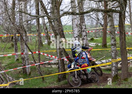 Dahlen, Deutschland. 26. März 2023. Motorsport: „Rund um Dahlen“, internationale deutsche Enduro-Meisterschaft: Ulrich Krämer (Front) aus Deutschland und Heiko Simon aus dem DMSB Enduro Super Senior Cup in einem Duell. Kredit: Daniel Schäfer/dpa/Alamy Live News Stockfoto