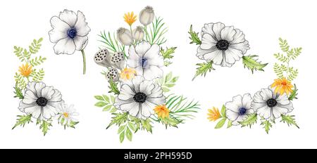 Mit Aquarellen von Aquarellen. Anemonblüten, gelbe Wildblumen, Zweige und Blätter. Trockener Mohn und Lotus Clipart. Die Abbildung. Stockfoto