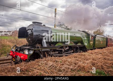 Die Dampflokomotive Flying Scotsman im Centenary Year führt durch Lancashire und Yorkshire zum National Railway Museum in York. Stockfoto