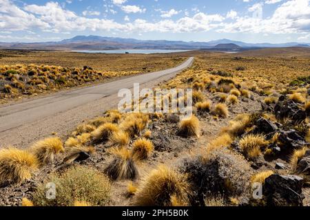 Nationalpark Laguna Blanca in Neuquén, Argentinien - Reisen nach Südamerika Stockfoto