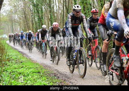Wevelgem, Belgien. 26. März 2023. Das Reiterpaket, das während des Männer-Radrennen Gent-Wevelgem - in Flanders Fields, 260, 9 km von Ieper nach Wevelgem, Sonntag, den 26. März 2023, in Aktion gezeigt wurde. BELGA PHOTO DIRK WAEM Credit: Belga News Agency/Alamy Live News Stockfoto