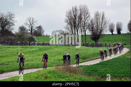 Wevelgem, Belgien. 26. März 2023. Das Reiterpaket, das während des Männer-Radrennen Gent-Wevelgem - in Flanders Fields, 260, 9 km von Ieper nach Wevelgem, Sonntag, den 26. März 2023, in Aktion gezeigt wurde. BELGA PHOTO DIRK WAEM Credit: Belga News Agency/Alamy Live News Stockfoto