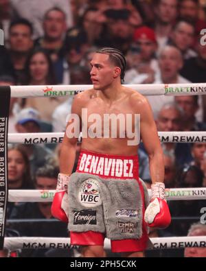 LAS VEGAS, NV - 25. MÄRZ: David Benavidez steht am 25. März 2023 in der MGM Grand Garden Arena in Las Vegas, NV, USA, in der Ecke seines Interim WBC World Super Middleweight Titels. (Foto: Alejandro Salazar/PxImages) Stockfoto