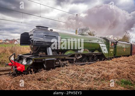 Die Dampflokomotive Flying Scotsman im Centenary Year führt durch Lancashire und Yorkshire zum National Railway Museum in York. Stockfoto