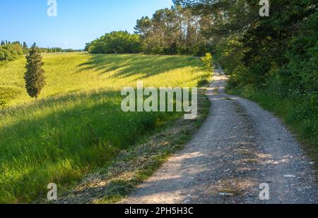 Toskana-Frühlingslandschaft in der Nähe des Dorfes San Miniato - entlang der Via Francigena zwischen San Miniato und Gambassi Terme - Mittelitalien - Europa Stockfoto