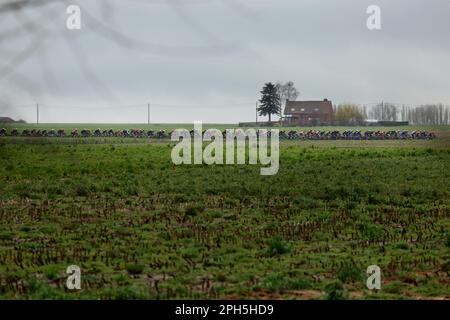 Wevelgem, Belgien. 26. März 2023. Das Reiterpaket, das während des Radrennen der Frauen Gent-Wevelgem - in Flanders Fields, 162, 5 km von Ieper nach Wevelgem, Sonntag, den 26. März 2023, in Aktion gezeigt wurde. BELGA FOTO DAVID PINTENS Kredit: Belga News Agency/Alamy Live News Stockfoto
