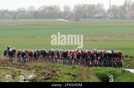 Wevelgem, Belgien. 26. März 2023. Das Reiterpaket, das während des Radrennen der Frauen Gent-Wevelgem - in Flanders Fields, 162, 5 km von Ieper nach Wevelgem, Sonntag, den 26. März 2023, in Aktion gezeigt wurde. BELGA FOTO DAVID PINTENS Kredit: Belga News Agency/Alamy Live News Stockfoto