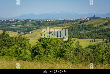 Toskanische Quelllandschaft in der Nähe des Dorfes San Miniato - entlang der Via Francigena. Toskana, Zentralitalien Stockfoto