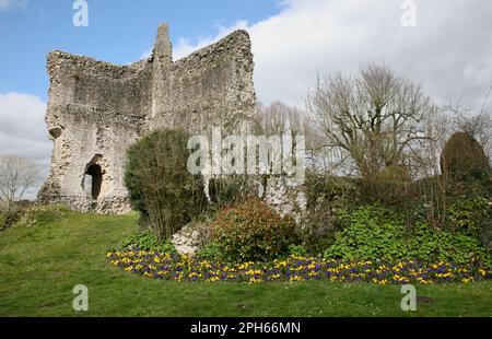 Chateau de Domfront in Domfront en Poiraie im Departement Orne, Nordwestfrankreich, Europa Stockfoto