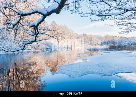 Eine ruhige Winterszene mit einem gefrorenen Fluss, der den eisigen blauen Himmel reflektiert, umgeben von schneebedeckten Bäumen in Mölndal, Schweden. Stockfoto