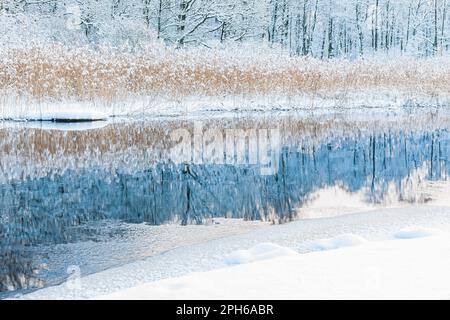 Eine ruhige Winterszene eines schneebedeckten Flusses, der das frostige Schilf in ruhiger Stille widerspiegelt. Stockfoto