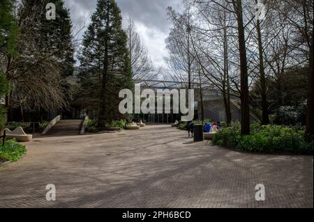 Artis Butterfly Building Im Hintergrund In Amsterdam Niederlande 24-3-2023 Stockfoto