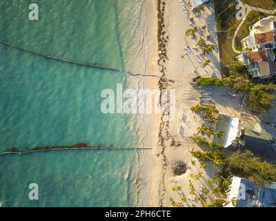 Strandresort. Algen im Meer. Blick von oben. Am Sandstrand befindet sich ein Hotelkomplex, Bungalows, viele tropische Pflanzen, Palmen. Busin Stockfoto