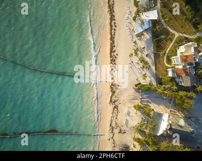 Algen im Meer. Blick von oben. Am Strand befindet sich ein wunderschöner Resortkomplex - Hotels, Sonnenschirme, Sonnenliegen, Boote. Viele tropische Pflanzen. Stockfoto