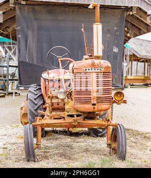 Ein antiker Farmall-Versatzmotor, ein Pflugtraktor für Reihen-Erntegut Stockfoto