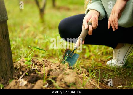 Weibliche Hände halten eine kleine Gartenschaufel. Bauernfrau sitzt im Garten und gräbt Erde mit Walze und macht Nahaufnahmen. Junger Gärtner im Obstgarten Stockfoto
