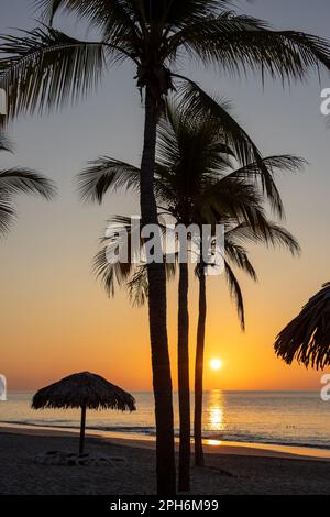 Sonnenaufgang hinter Palmen an der Westküste Panamas. Orangefarbener Himmel. Stockfoto