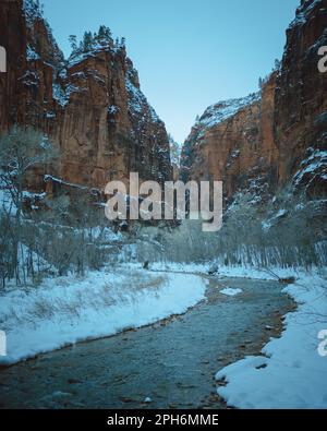 Verschneite Winterszene am Virgin River auf dem Riverside Walk Trail, Utah Stockfoto
