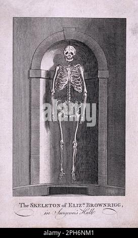 Elisabeth Brownrigg Skelett in Chirurg's Hall, Old Bailey London, Gravur aus dem Jahr 1800er Stockfoto