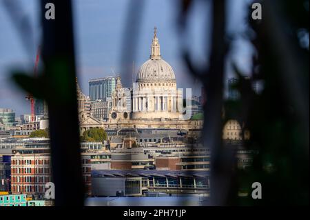 LONDON - 13. November 2022: Erleben Sie den Zauber der St Paul's Cathedral, umgeben von üppigen Blättern und hohen Bäumen. Ein malerischer Blick auf die Natur und Stockfoto