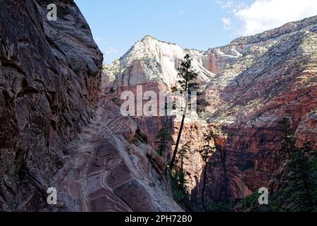 Ein schmaler Pfad führt zum Hidden Canyon im Zion-Nationalpark, Utah, USA Stockfoto