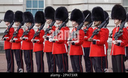 London, Großbritannien. 28. Okt. 2022. Die Wachen der königlichen Garde sind bereit für den Wachwechsel vor dem Buckingham Palace. Der Wachwechsel zieht jedes Mal zahlreiche Zuschauer an. Kredit: Jan Woitas/dpa/Alamy Live News Stockfoto