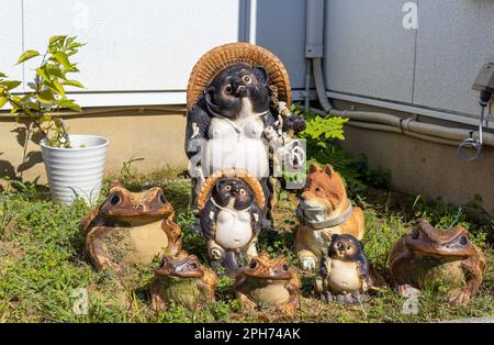 Tanuki-Waschbärhunde im Hausgarten, Kanazawa, Japan. Stockfoto