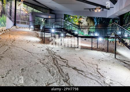 Sataplia, Georgien, 04.06.21. Sataplia Strict Nature Reserve, kleines Museum mit Metallplattform und fossilen Fußabdrücken von Dinosauriern. Stockfoto