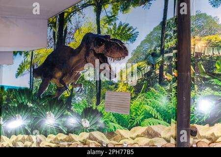 Sataplia, Georgien, 04.06.21. Sataplia Strict Nature Reserve, kleines Museum mit gut erhaltenen fossilen Fußabdrücken von Dinosauriern, Ausstellung mit Raptor Stockfoto