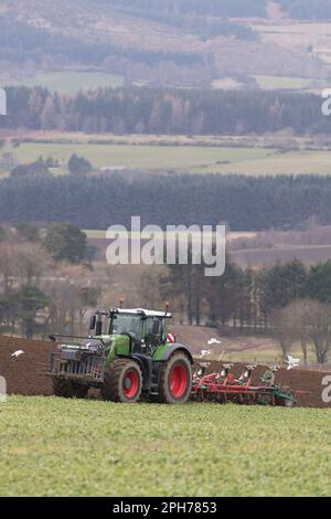 Ein grüner Fendt-Traktor und ein umkehrbarer Pflug zum Pflügen in einem bedeckten Erntegut (Wicken) mit Blick auf die Landschaft von Aberdeenshire im Frühling Stockfoto