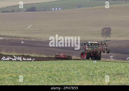 Ein Traktor von Fendt mit einem Kverneland Reversible Pflug und Doppelpacker, der am Ende eines Feldes dreht, auf dem Gründung (Vetch) gepflügt wird Stockfoto