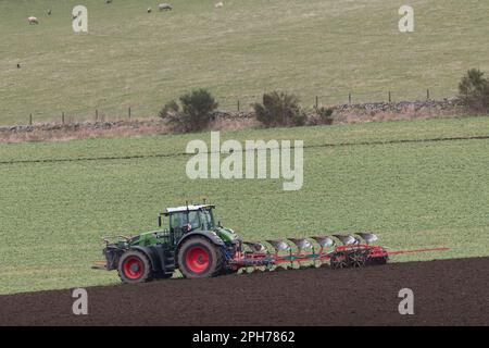 Ein Fendt-Traktor und ein Wendepflug, der einen Kverneland-Doppelverpacker schleppt, während er im Frühjahr auf einem Bauernhof in Aberdeenshire in Gründung (Vetch) pflügt Stockfoto