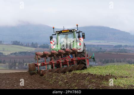 Ein Fendt-Traktor und Kverneland-Wendepflug, von hinten gesehen, beim Pflügen in einem bedeckten Erntegut (Vetch) mit Blick auf die Landschaft von Aberdeenshire Stockfoto