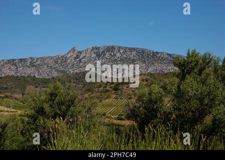 Die Burg Quéribus, eine der Katharschlösser Südfrankreichs, wurde in einer strategischen Lage auf einem Kamm in den Pyrenäen erbaut Stockfoto