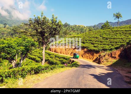 Tuk Tuk fährt auf einer Straße zwischen grünen Bäumen im Wald von Sri Lanka Stockfoto